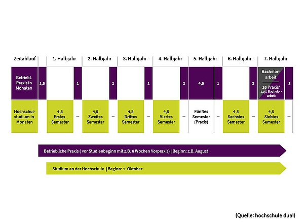 Überblick über das duale Studium mit vertiefter Praxis