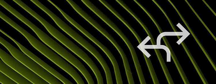 Berufsweg Check: Ausbildung vs. Studium